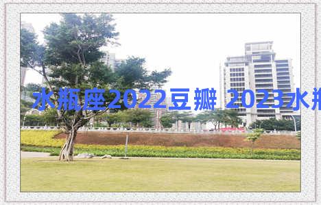 水瓶座2022豆瓣 2023水瓶最终归宿